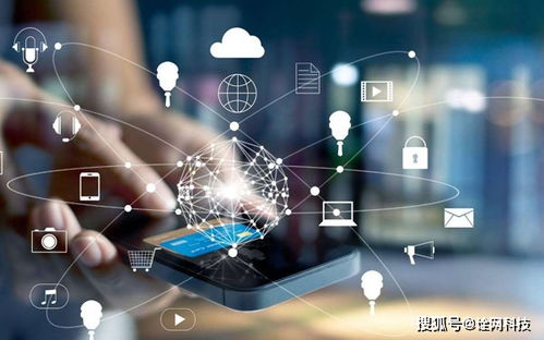 杭州詮網(wǎng)科技分析 泛解析對SEO優(yōu)化的利與弊