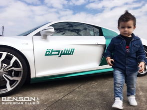 奧迪R8超跑租賃 婚車、活動(dòng)巡游與商務(wù)接待的全方位解決方案